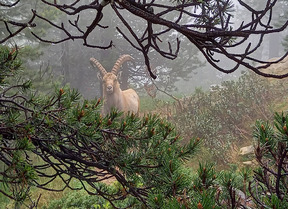 Travers&eacute;e de la Chartreuse, de Chamb&eacute;ry &agrave; Grenoble