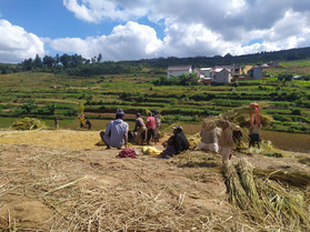l'Ultra Trail des Hauts Plateaux, courir &agrave; Madagascar