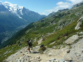 L&rsquo;UTMB : plus qu&rsquo;une course, une aventure humaine et collective
