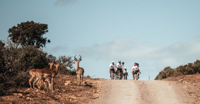 Nedbank Gravel Burn 2025 - Teaser
