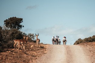 Nedbank Gravel Burn 2025 - Teaser