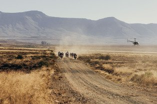 Nedbank Gravel Burn 2025 - Stage 5 - Highlights