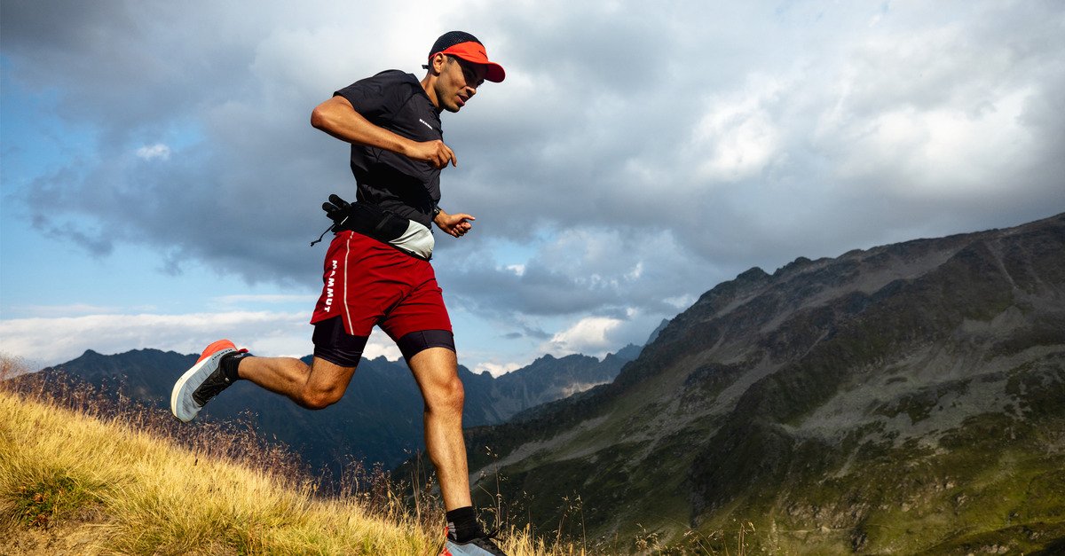 Dix ans de Tests Priv&eacute;s