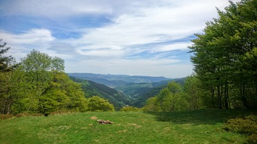 Championnats de France de Trail 2017