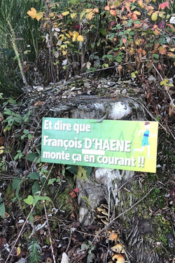 Trail du Beaujolais Vert