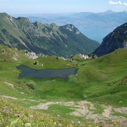 Photo précédente