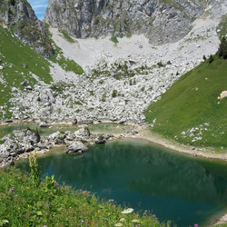 Photo précédente