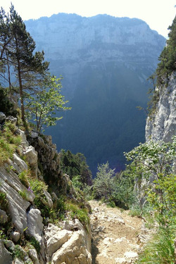 Dent centrale de Lanfon