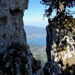 Photo précédente