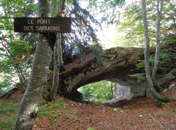 Grotte de Barmafi