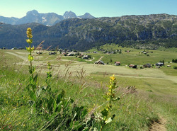 La Pointe d&#039;Andey