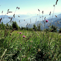 Photo précédente