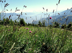 La Pointe d&#039;Andey