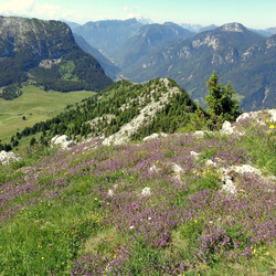 Photo précédente
