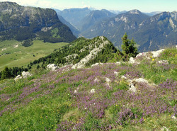 La Pointe d&#039;Andey