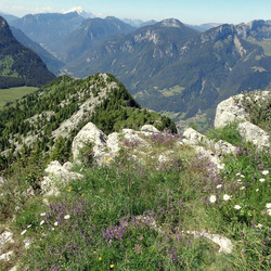 Photo précédente