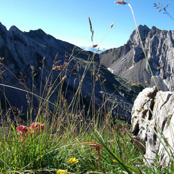 Photo précédente
