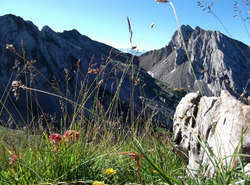 La Pointe de Merdassier