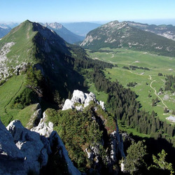 Photo précédente
