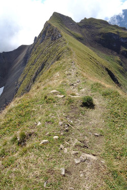 La Pointe de Tardevant