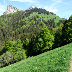Photo précédente