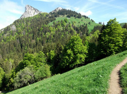 La Roche Murraz