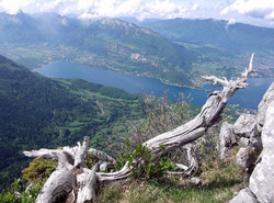 La Roche Murraz