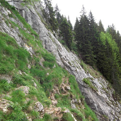 Photo précédente