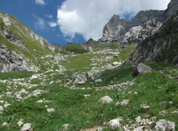 Tournette 2