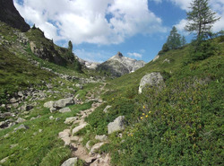 Les traces de dinosaures