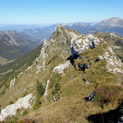 Photo précédente