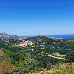 Photo précédente