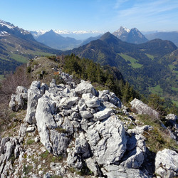 Photo précédente