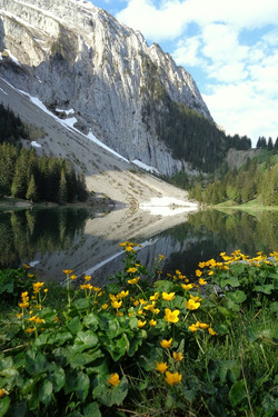 Le lac B&eacute;nit