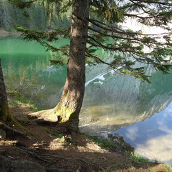 Photo précédente