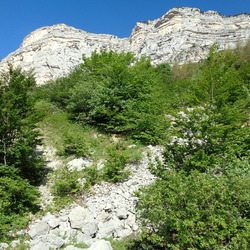 Photo précédente