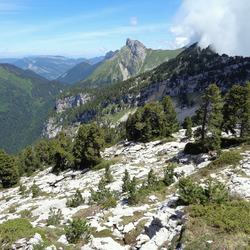 Photo précédente