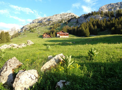 Le Petit bargy