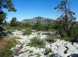 La Croix du B&eacute;nitier