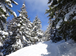 Les Chalets de Chailloux en raquettes