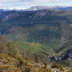Photo précédente