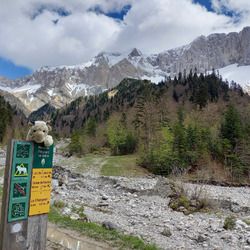 Photo précédente