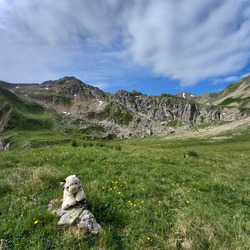 Photo précédente
