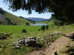 La T&ecirc;te Pelouse et la Combe de Bellachat