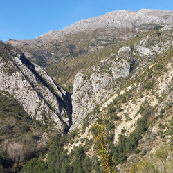 Photo précédente