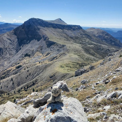 Photo précédente