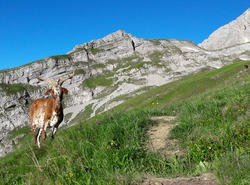 Autour du Jalouvre