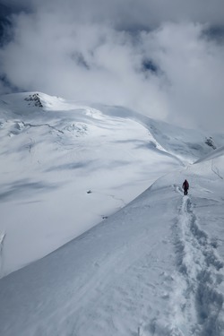 Mont Blanc depuis les Houches