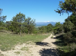 ardèche trail