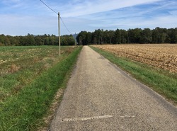 Randonnée de la forêt sauvage